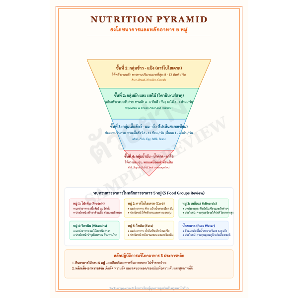 โปสเตอร์คู่มือหลักโภชนาการและธงโภชนาการ (Healthy Nutrition)